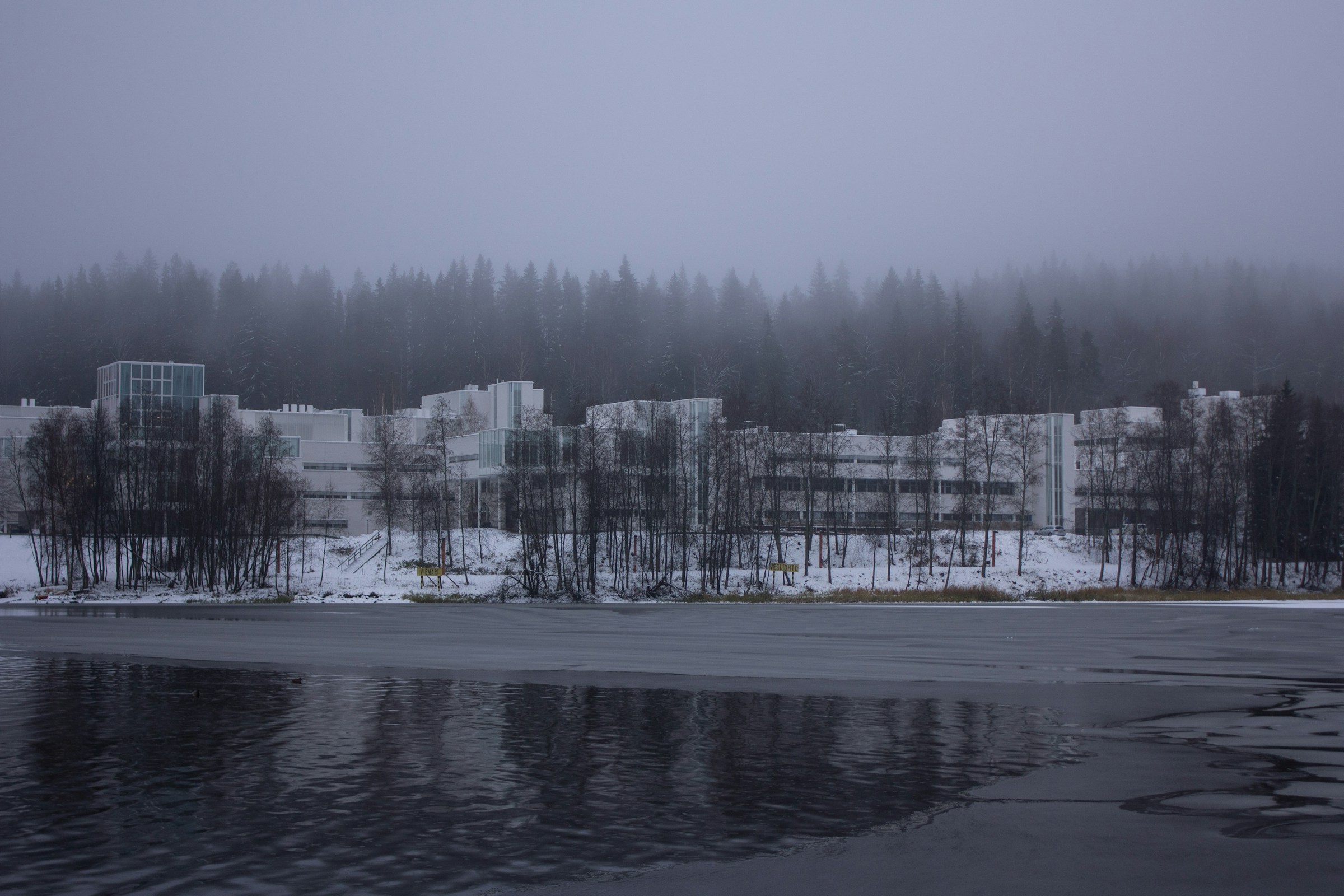 Usvainen järvi ja metsä suomalaisena aamuna